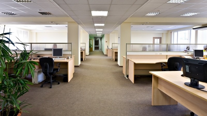 Office carpet steam cleaning services